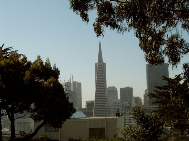 San Francisco: View on Transamerica Pyramid from Coit Tower